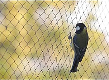 Aniket Bird Netting Services Latur 
